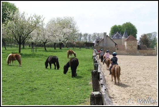 www.ferme-equestre-lagesse.com